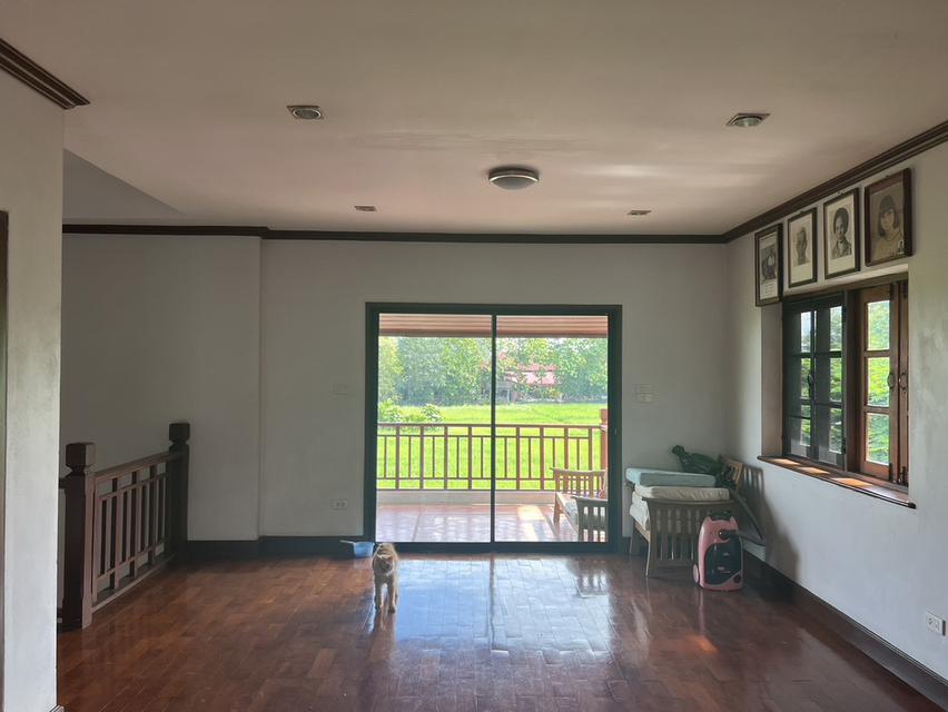 ขายบ้านเดี่ยว 2 ชั้น บ้านกอสะเลียม พร้อมเข้าอยู่ บรรยากาศร่มรื่น ทำเลดี สันกำแพง เชียงใหม่ 3