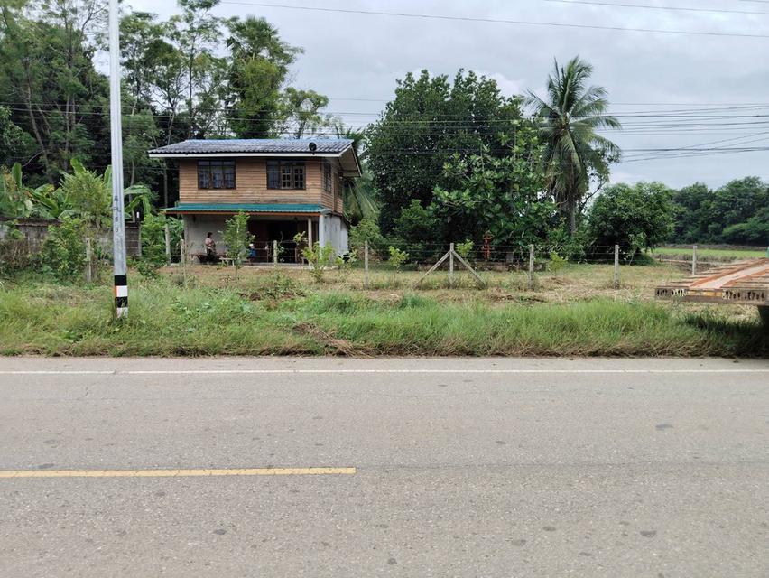 ขายที่สวน 2 ไร่ 2 งาน พร้อมบ้าน  ต. คลองคูณ จ.พิจิตร 1