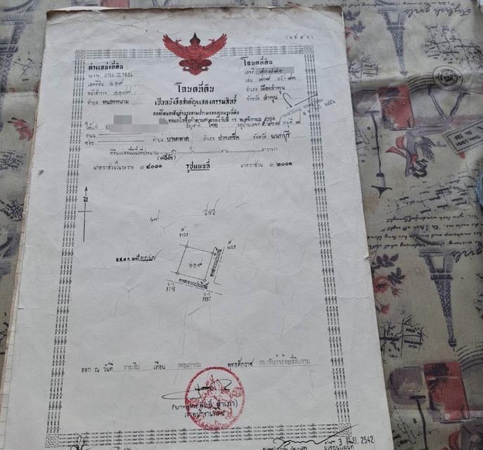ที่ดินจังหวัด ลำพูน ขนาด 1ไร่ 1