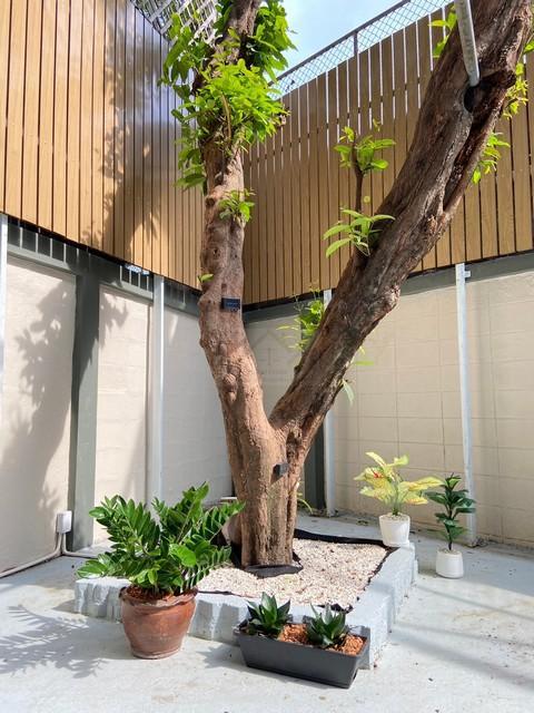 ให้เช่าทาวน์เฮ้าส์ 4 ชั้น 50 ตร.ว. ย่านเอกมัย ซอย 4 พร้อมเฟอร์ ใกล้ BTS เอกมัย 4