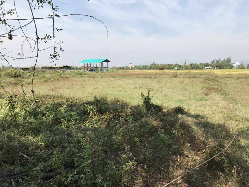 ที่ดินจังหวัด นครนายก 1