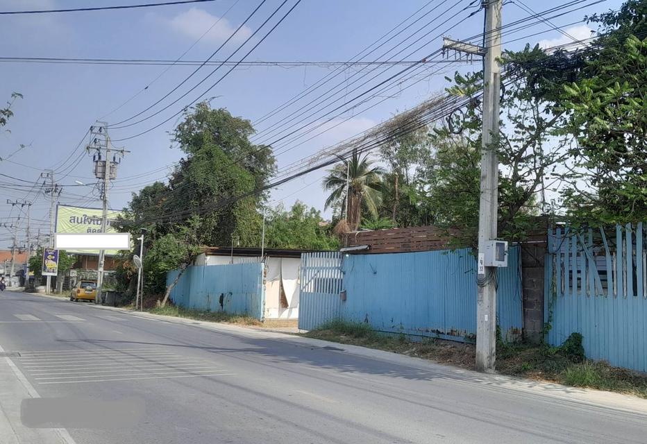 ขายที่ดินทำเลดี ต.บางม่วง อ.บางใหญ่  ใกล้ตลาด ใกล้เทศบาล 2