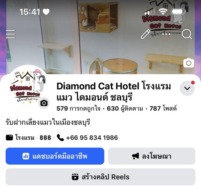 🐈โรงแรมแมว รับฝากแมวชลบุรี 1