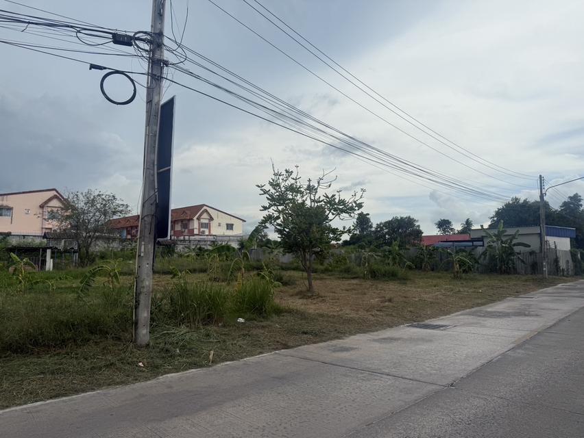 ขายที่ดิน ชลบุรี