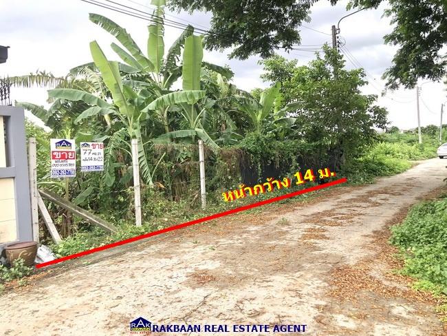 ขายที่ดินรามคำแหง ซอย 160 (ใกล้ซอยมิสทีน) 77 ตร.ว. กว้าง 14 เมตร ลึก 22 เมตร จากถนนใหญ่เพียง 500 เมตร 4