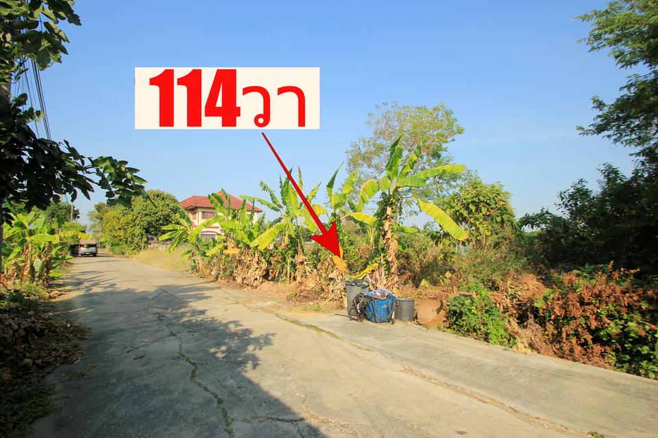 ที่ดินพุทธมณฑลสาย2ซอย21 ซอยศุภมิตร 114วา ที่ดินสร้างบ้าน ติดทางสาธารณะประโยชน์ ใกล้ถนนพรานนกสาย4 ตัดใหม่ เดินทางสะดวก 30,000บาท/วา 5
