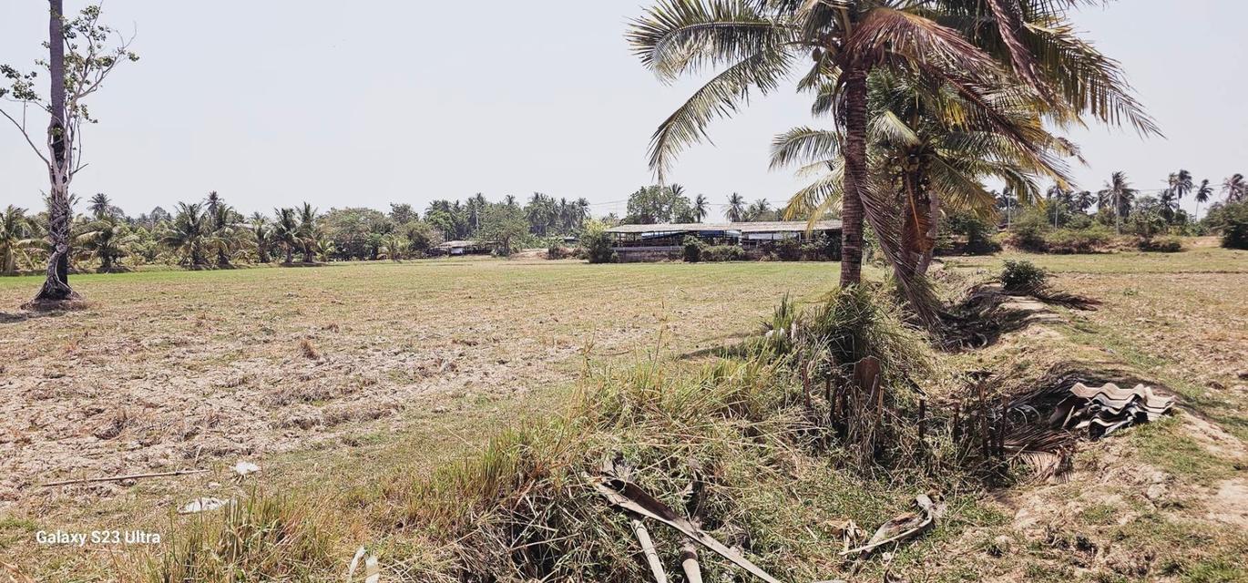 ขายที่ดิน อำเภอท่ายาง จังหวัดเพชรบุรี 9