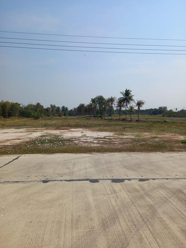 ขายที่ดินหนองขยาด 2 ไร่ ติดถนน2ด้าน ใกล้แยกมาบโป่ง(นิคมอมตะ)-10กม. อ.พนัสนิคม ชลบุรี 1