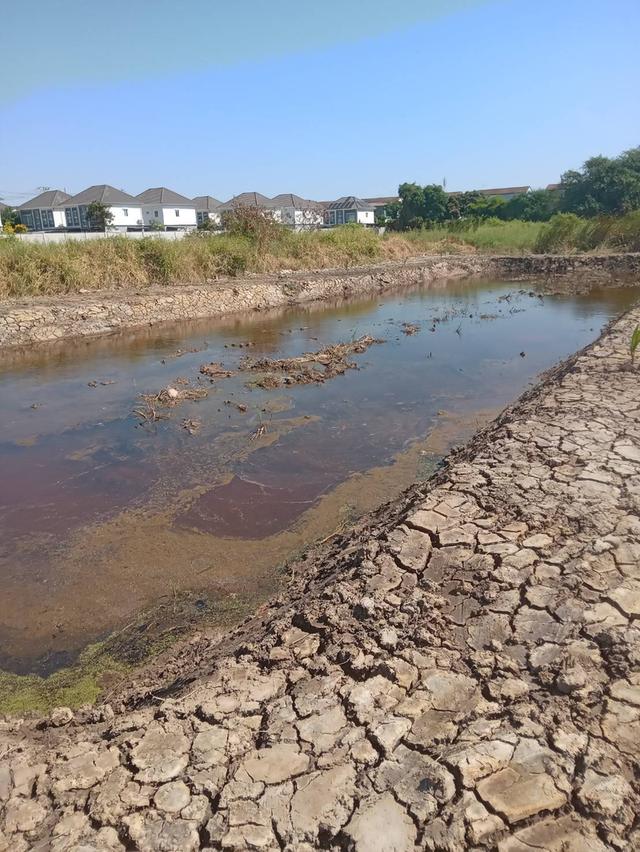 ขายที่ดินเปล่า 525 ตารางวา ติดถนนคอนกรีต ซอยเทศบาลบางปู 83 12