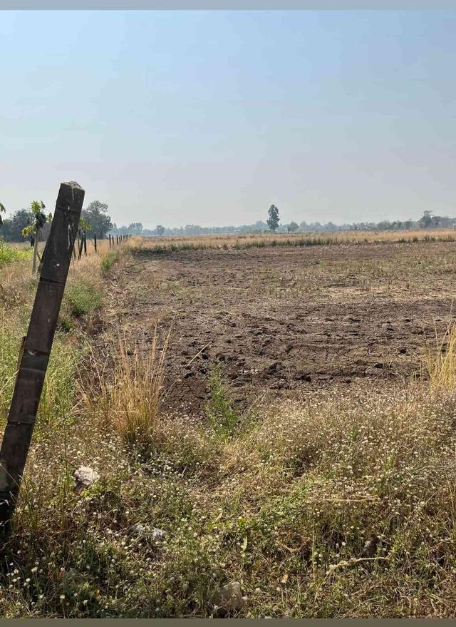 ขายที่ดิน 15 ไร่ ทำเลดี ติดกองบิน 4 ตาคลี เข้า ออกสะดวก น้ำไม่ท่วม 2