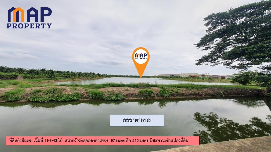 ที่ดินผังเมืองสีชมพู สมุทรสาคร 2