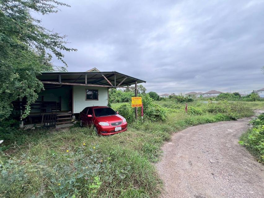 ขายที่ดินเปล่า ซอยร้านอาหารครัวอุ่นไอฟาง ใกล้เทศบาลบางคูรัด
