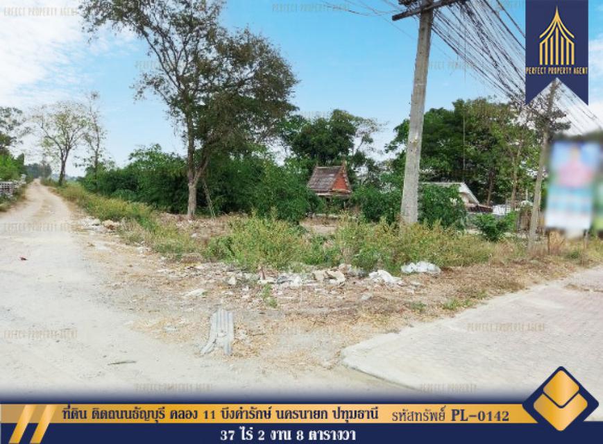 รูป ที่ดิน ติดถนนธัญบุรี คลอง 11 บึงคำรักษ์ นครนายก ปทุมธานี 37 ไร่ 2 งาน 8 ตร.วา
