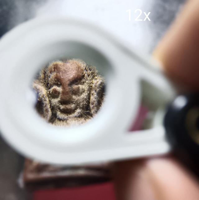 กล้อง ส่อง พระ สัญชาติ เยอรมัน 12x รูปที่ 3