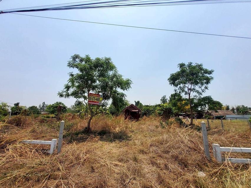 ขายที่ดินใกล้วัดหนองตาเนิด 200 ตรว ติดถนนลาดยางสาธารณะ  ต.ปากช่อง อ.จอมบึง จ.ราชบุรี 1