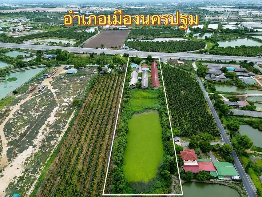 ขายทีดินจังหวัดนครปฐมถนนศาลากลางจังหวัด 2