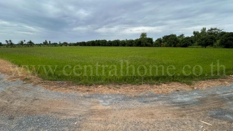 ที่ดิน 9-3-99.5 ไร่ ดอนโพธิ์ - สุพรรณบุรี มีผู้เช่า ทำเลดี 2