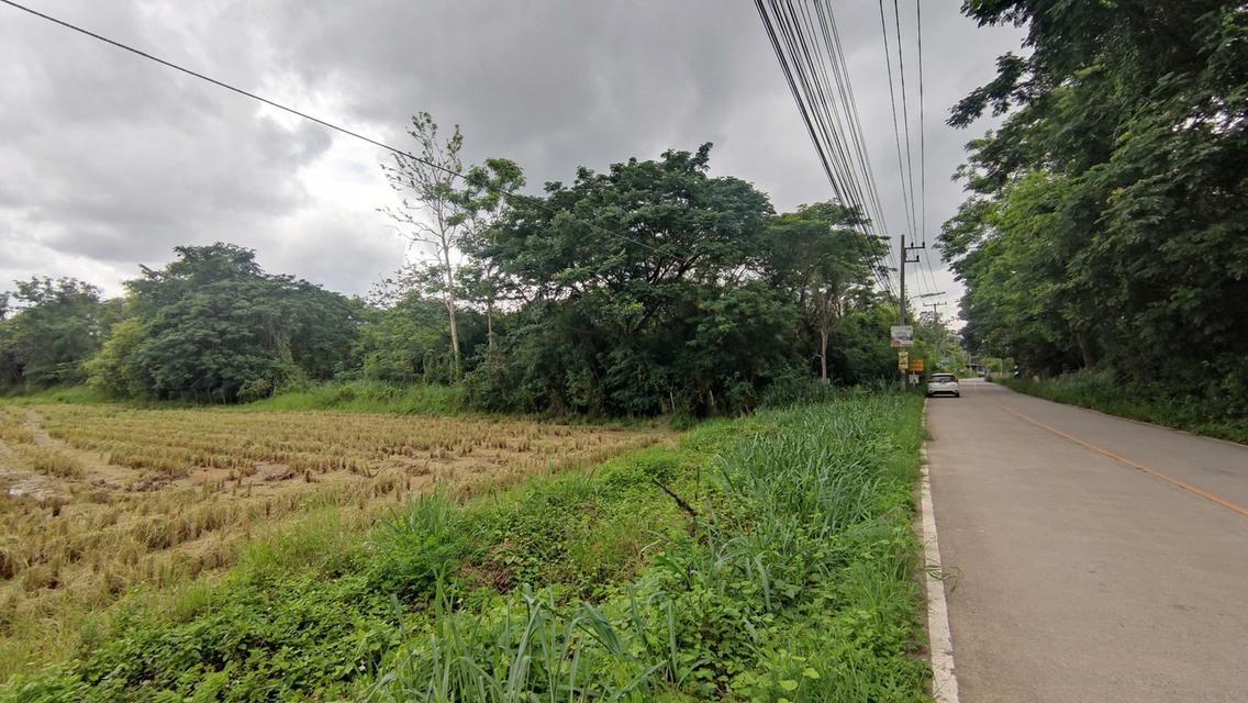ที่นา 6-3-72 ไร่ ทำเลทอง! ใกล้ถนนสันกำแพงใหม่ เพียง 50 เมตร สามารถทำบ้านจัดสรรได้ 7