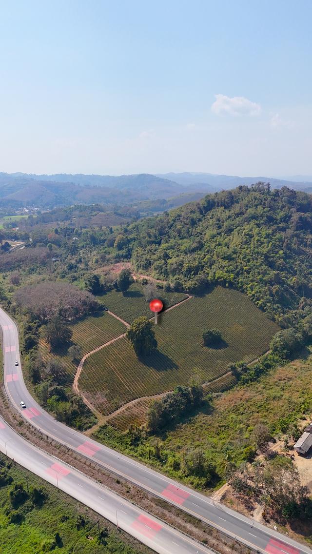 ขายที่ดินเปล่า วิวภูเขา ติดถนนสาย ชร.1063 (แม่จัน-เชียงแสน) 1