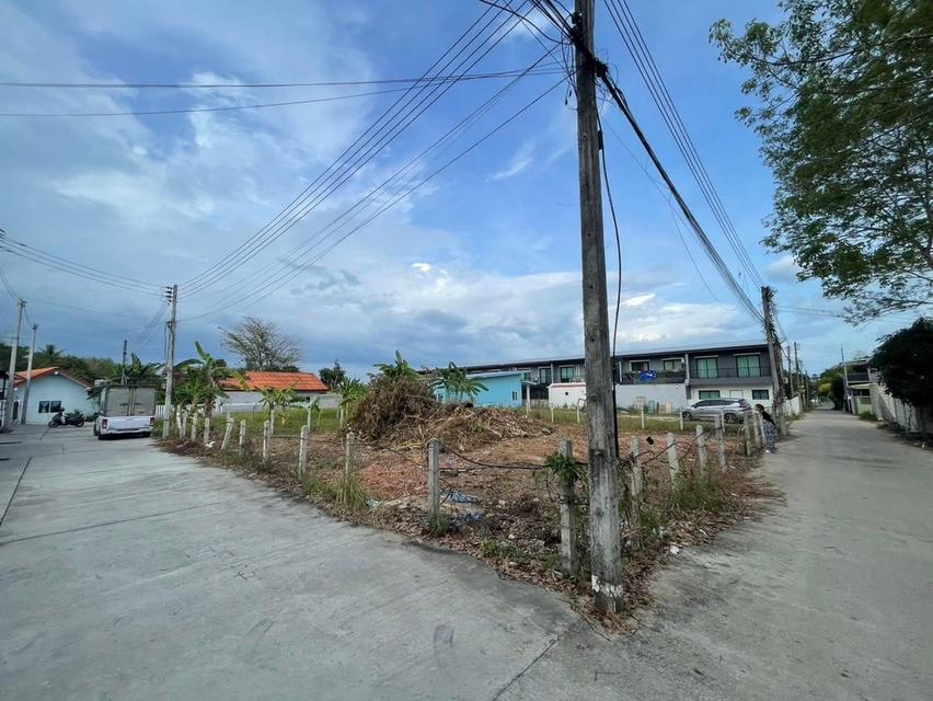 ที่ดิน100 ตรว ป่าคลอกครับ 6