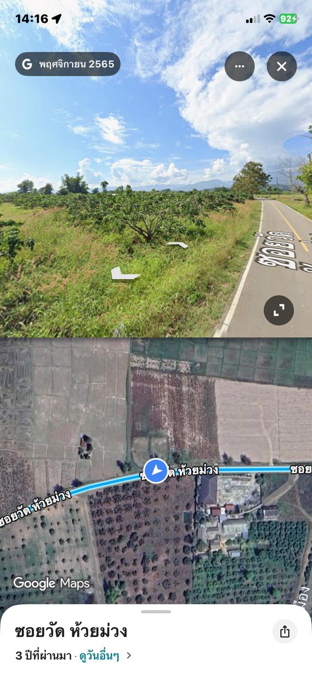 ที่ดิน พร้อมสวนลำไย 5 แปลง รวม 12 ไร่ 3 งาน 65 ตารางวา 3