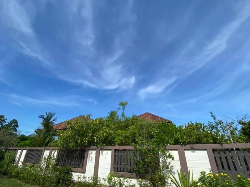 บ้านเดี่ยวสไตล์รีสอร์ท 7