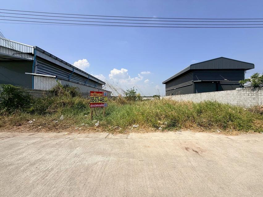 ขายด่วนที่ดิน 180 ตรว ติดถนนสาธารณะ ถมแล้ว  ซอยเปาร์อิน 16 อ.ลาดหลุมแก้ว จ.ปทุมธานี 1