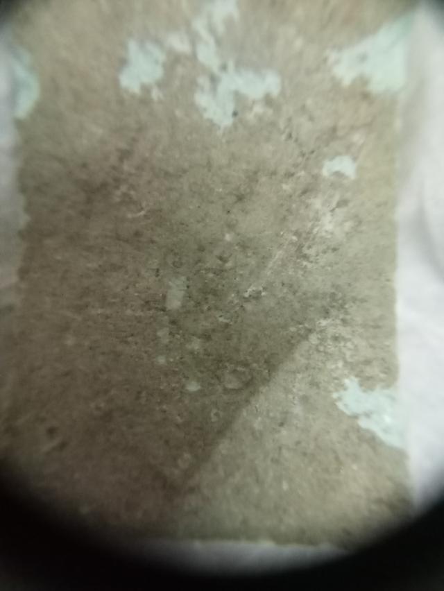 พระสมเด็จผงกระดูกพิมพ์ใหญ่หูบายศรี ปี2473หลวงปู่พุ่มว