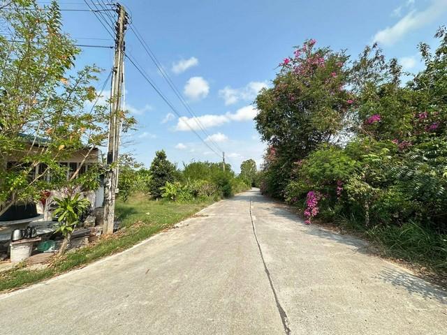 ขายที่ดิน ใกล้สนามกอล์ฟฟินิกส์ ขายยกแปลง ห้วยใหญ่ พัทยา