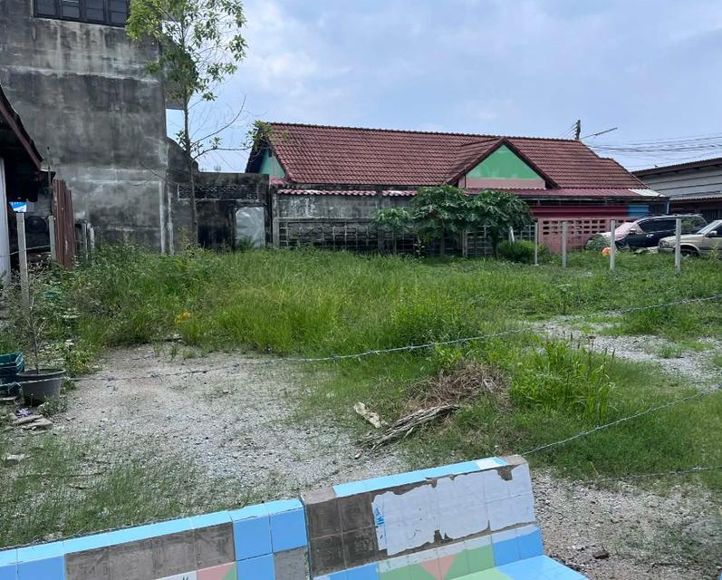 ขายที่ดินเสม็ดหลังแม็คโคร 65 ตรว. ถมแล้วซอยจัดสรร4 ใกล้ถนนสุขุมวิท3-400เมตร อ.เมืองชลบุรี 1