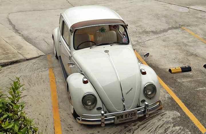 1966 Volkswagen เต่า