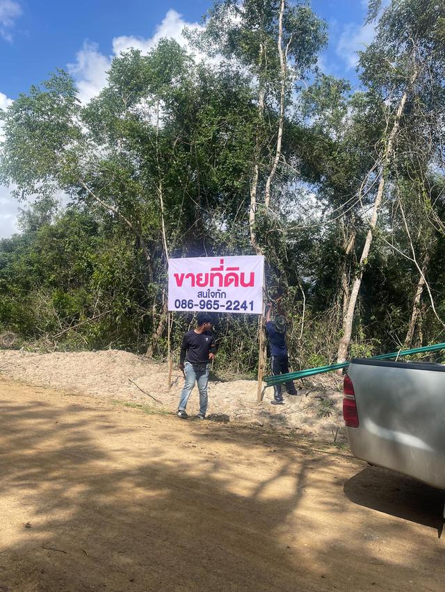 ขายที่ดิน เนื้อที่ 3ไร่กว่า  3