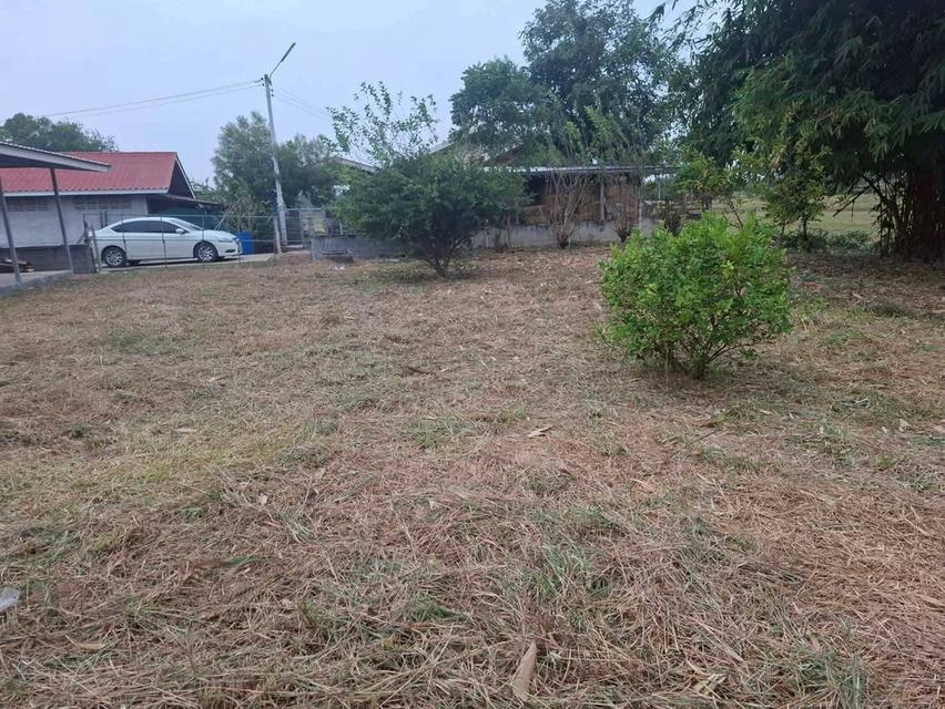 ขายบ้าน 2 หลัง พร้อมที่ดิน หมู่บ้านหนองนา พัฒนานิคม ลพบุรี 2