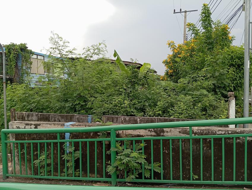 ให้เช่าบ้าน+ที่ดินอยู่ข้างวัดปุรณาวาสติดคลองมหาสวัสดิ์ 9