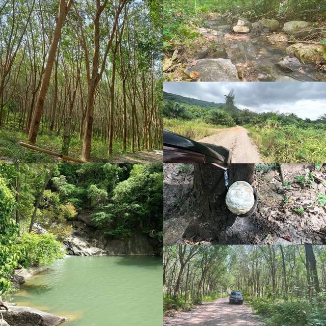 ที่ดิน สวนยางใกล้ทะเล วิวเขา ขนอม จ.นครศรีธรรมราช 1