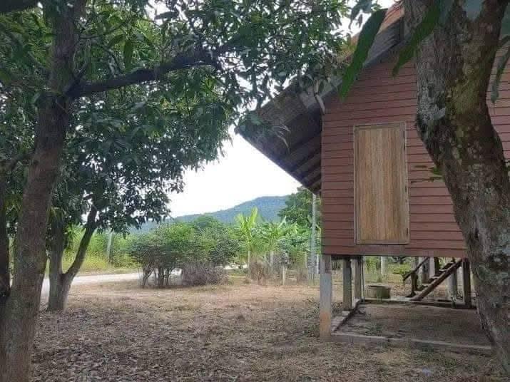 ขายที่ดินวิวเขาอำเภอปากช่อง 4