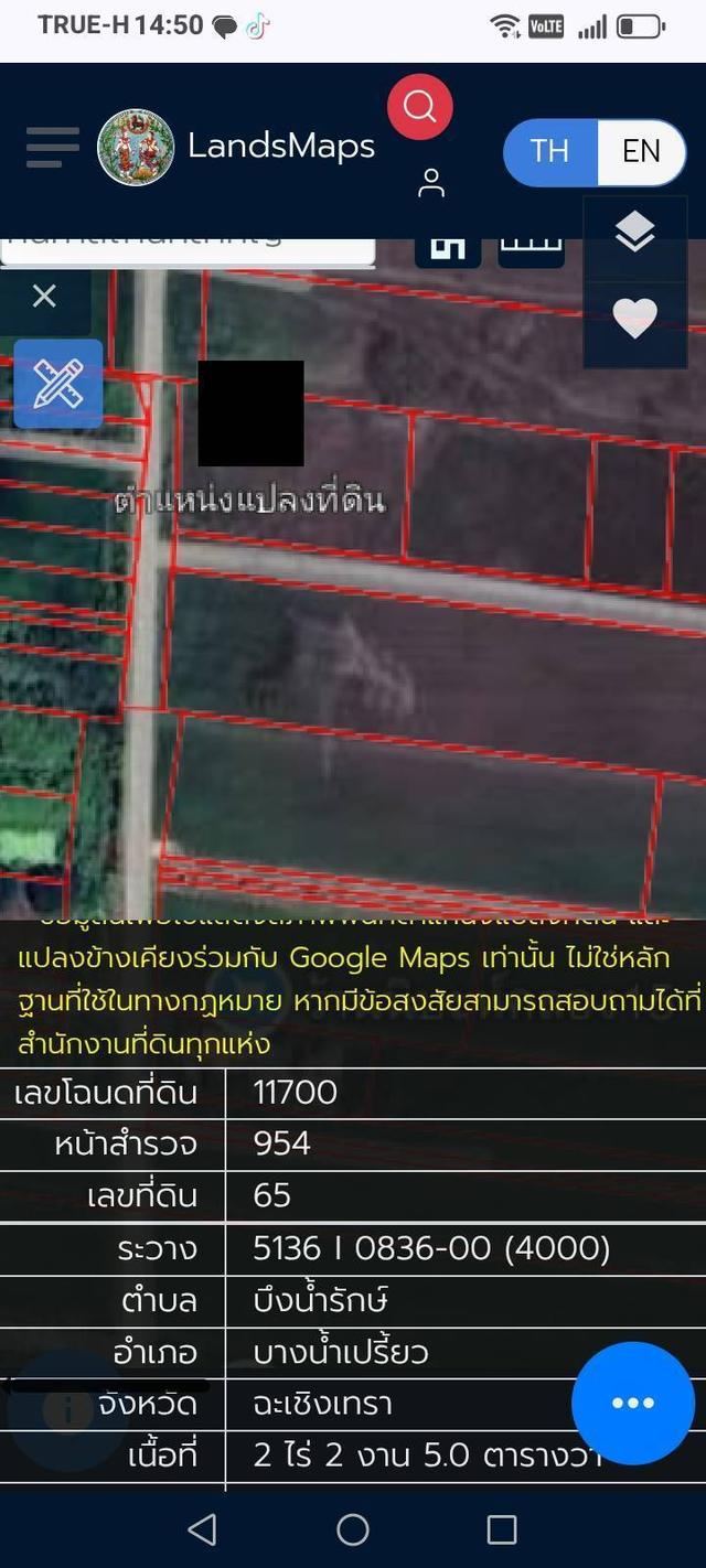 ขายที่ดินฉะเทริงเทรา 7