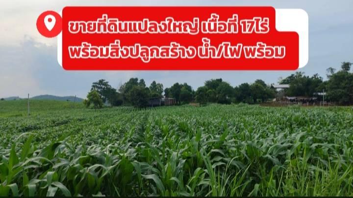ขายที่ดินแปลงใหญ่ ห่างจากถนนมิตรภาพ 17กม. พร้อมสิ่งปลูกสร้าง น้ำ/ไฟ ครบ พร้อมใช้งาน 1
