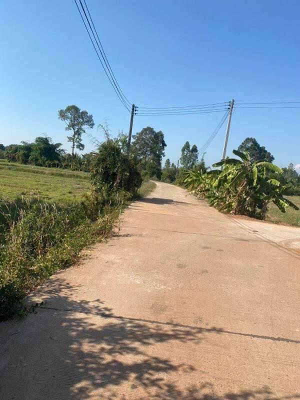 ขายที่ดินหลุดขายฝาก 7 ไร่ – ราคาพิเศษสุดในพื้นที่ อ.ศรีมหาโพธิ จ.ปราจีนบุรี 3