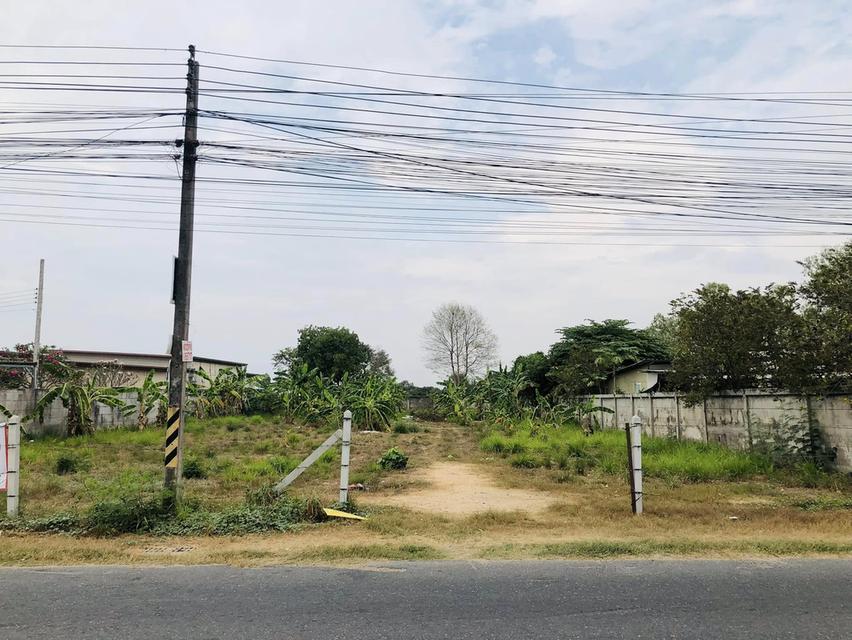 ขายที่ดินหนองปรือ พัทยา 391 ตรว. ซอยเขาตาโล9 ใกล้ถนนสุขุมวิท3-2.8กม. บางละมุง ชลบุรี 1