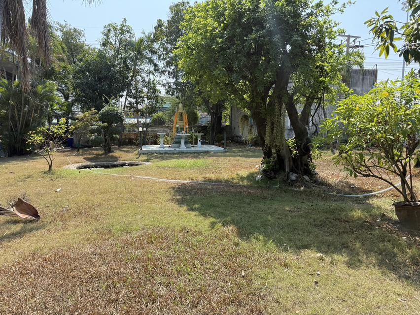 ขายที่ดิน สมุทรปราการ ด่วนนนนน  บริษัท แก้วปราการ จำกัด ติดถนน แพรกษา  ขนาด 22 ไร่ 2 งาน 96 ตรว.(9,096 ตรว.) 4