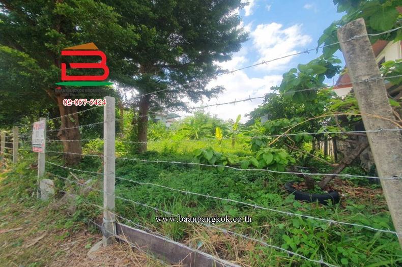 ที่ดินเปล่า หมู่บ้านสินธร รังสิต (ซอย D1,D2) เนื้อที่ 101 ตรว. ใกล้ดูโฮม บางพูน ตำบลบางพูน อำเภอเมืองปทุมธานี จังหวัดปทุมธานี 4