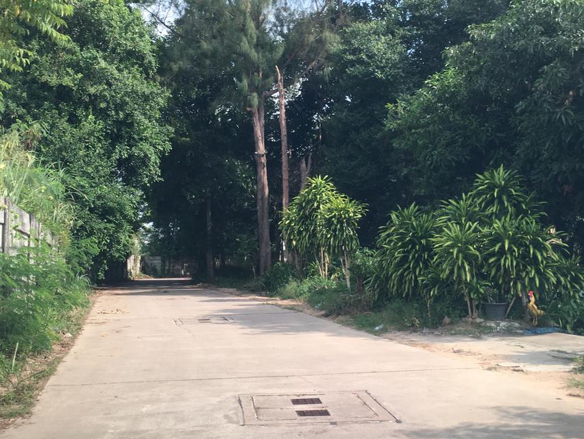 ขายที่ดินหนองขาม ศรีราชา ชลบุรี เนื้อที่ 9-1-84ไร่ หน้ากว้าง 90เมตร ลึก 180เมตร ที่ดินพื้นที่สีเหลืองอ่อน ผังเมือง EEC ใกล้นิคมปิ่นทอง3 2
