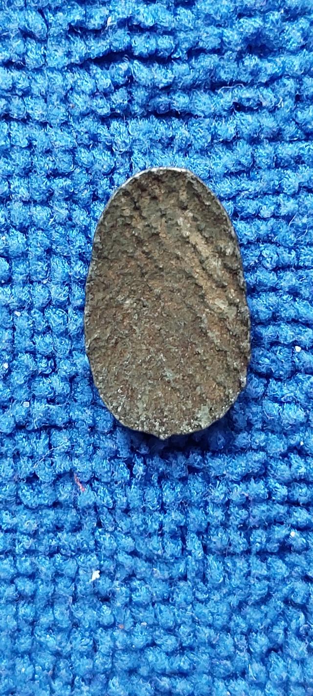 พระพิจิตรเม็ดข้าวเม่าพิจิตรกรุวัดพระศรีรัตนมหาธาตุ รูปย่อยที่ 3