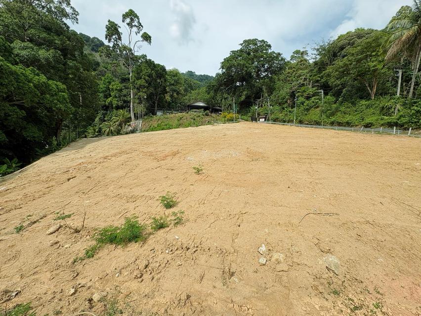 ขายที่ดินซีวิวหาดป่าตอง รูปที่ 6