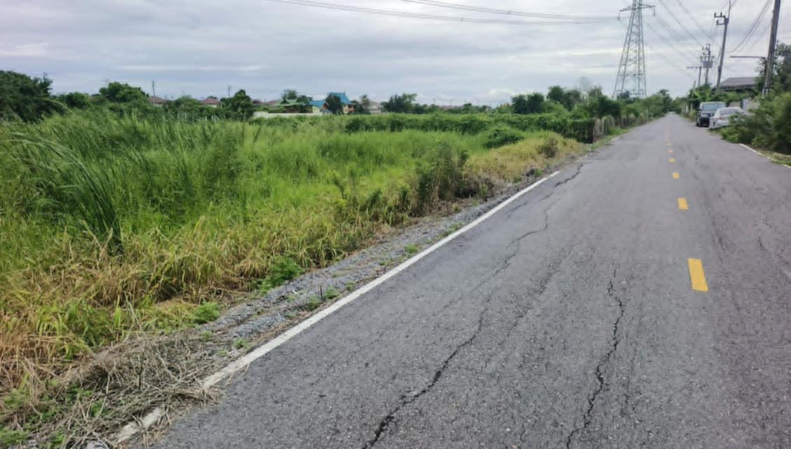 ขายที่ดินเปล่าเยื้องการไฟฟ้าไทรน้อย 200 ตร.ว. ซ.สุวรรณ ต.ไทรน้อย อ.บางบัวทอง นนทบุรี 080-9169359 5