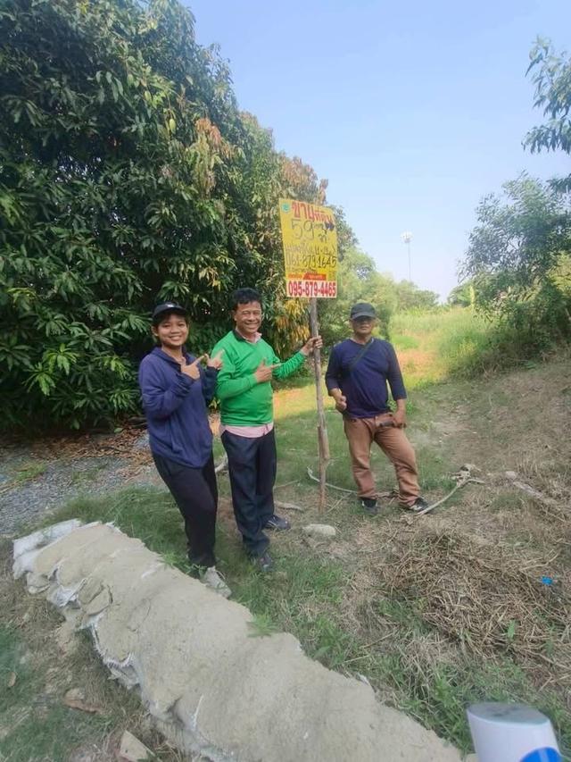 ขายด่วนที่ดินใกล้รร.อนุบาลบางใหญ่ 59 ตารางวา ซอย โรงเรียนอนุบาลบางใหญ่ อ.บางใหญ่ จ.นนทบุรี 1