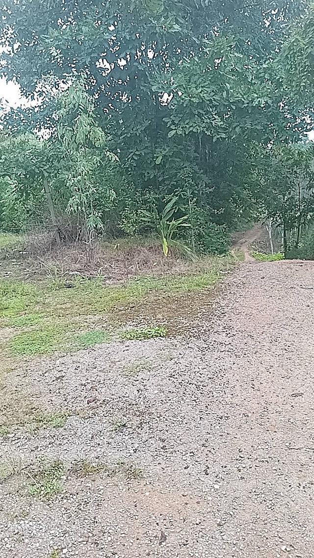 ที่ดินทองผาภูมิ 20