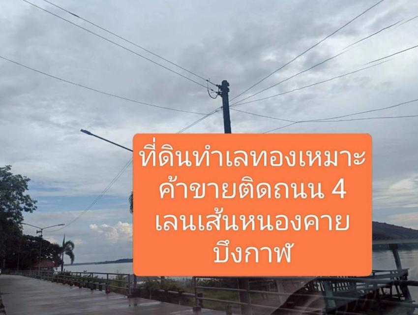 ขายที่ดินติดถนนทางหลวงแผ่นดินเส้นหนองคายบึงกาฬ 25 ไร่ 4