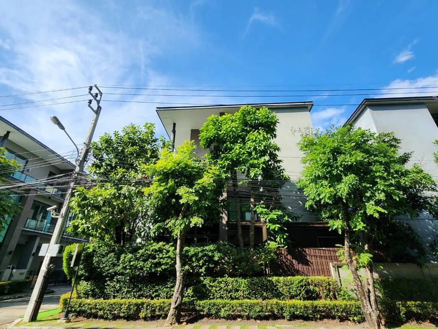 โครงการ SOUL เอกมัย-ลาดพร้าว โฮมออฟฟิศ บ้านเดี่ยว แปลงมุม 3 ชั้น 65.7 ตารางวา 5 ห้องนอน 6 ห้องน้ำ 2